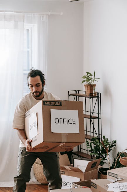 A man with dark, curly hair and a beard is inside a bright room, carrying a medium-sized cardboard box labeled 'OFFICE' as part of a home relocation or packing process. The room has white walls and a large window with sheer white curtains, allowing natural light to fill the space. Behind him, there is a black metal shelving unit holding a potted plant, along with several other cardboard boxes, some marked 'MEDIUM,' placed on the floor around him. The scene depicts the initial stages of furniture transport and packing for an office or home move, with the man preparing items for loading into a van. Man with Van Ilford offers professional removals and moving services, including packing and furniture transport.