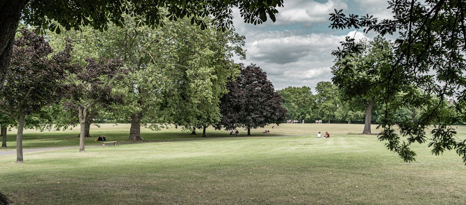 A wide view of a park area with neatly maintained grass and a variety of mature trees, including some with dark purple foliage and others with green leaves, providing shade and greenery. The open space features several park benches, with a few individuals seated and relaxing, some reading or enjoying the outdoors, separated by pathways and tree-lined borders. The sky above is partly cloudy, with patches of sunlight filtering through the clouds, creating a calm and inviting atmosphere suitable for outdoor leisure activities. In the context of a home relocation or moving process, this scene illustrates the outdoor environment of Valentines Park in Ilford, offering a suitable setting for unloadings or a break during furniture transport by professionals such as Man with Van Ilford, who specialise in house removals and furniture transport services within the area.