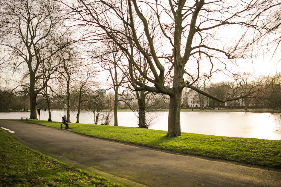 A wide view of a park area with neatly maintained grass and a variety of mature trees, including some with dark purple foliage and others with green leaves, providing shade and greenery. The open space features several park benches, with a few individuals seated and relaxing, some reading or enjoying the outdoors, separated by pathways and tree-lined borders. The sky above is partly cloudy, with patches of sunlight filtering through the clouds, creating a calm and inviting atmosphere suitable for outdoor leisure activities. In the context of a home relocation or moving process, this scene illustrates the outdoor environment of Valentines Park in Ilford, offering a suitable setting for unloadings or a break during furniture transport by professionals such as Man with Van Ilford, who specialise in house removals and furniture transport services within the area.